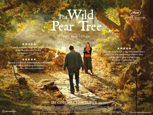 Cây Lê Dại - The Wild Pear Tree