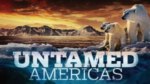 Châu Mỹ Hoang Dã Untamed Americas