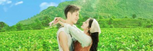 Đồi Trà Tình Yêu - Love in the Tea Garden